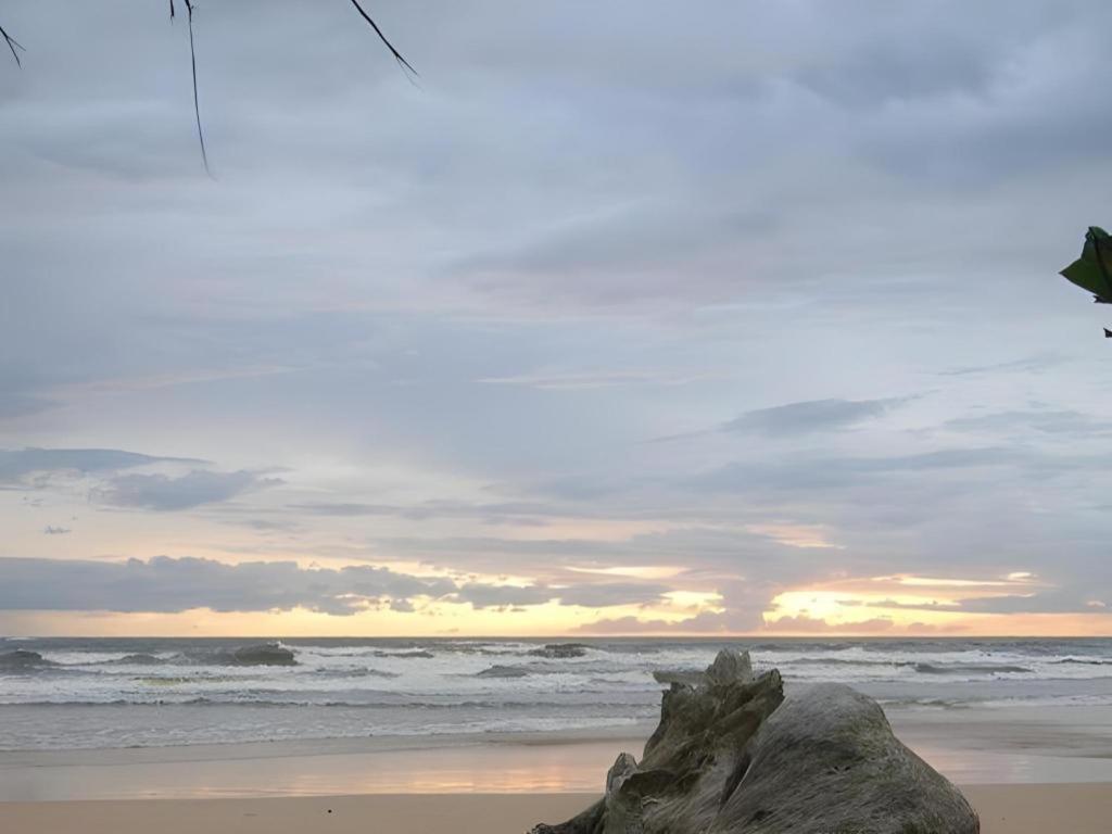 Sagarika Beach Hotel Moragalla ภายนอก รูปภาพ